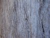 DriftWood