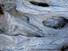 DriftWood