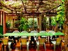 Tropical Lunch