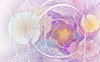 Wall Flower 1b