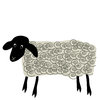 Cute Sheep