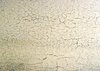 Crackled Paint Texture