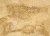 Crackle Texture