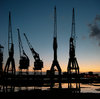 Crane