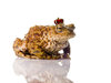 The Toad Prince