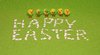 Happy Easter!