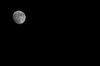 moon-02