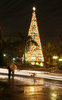 xmas tree