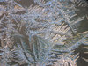 Ice sculptures 2