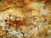 Woodworm 1