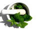 Mortar & Mint 1