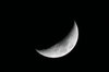 cheesy moon
