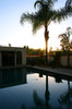 suburban morning