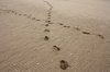 Footsteps