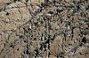Rock Texture 1