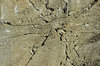 Rock Texture 3