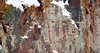 Rock Snow 4