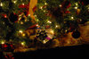 Xmas Tree 1