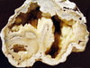 Rocks and Minerals 3