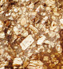 Porphyry - Andesite2