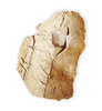 Volcanic Bomb