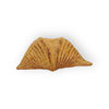 Brachipod