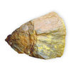 Slice of Petrified Wood