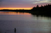 Orange Morning 3