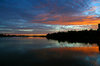 Orange Morning 5
