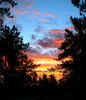 Orange Morning 1
