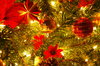 Christmas Lights 4