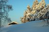 Dead of Winter -40 2