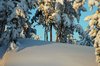 Dead of Winter -40 4