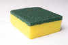 sponge