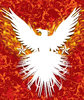 Phoenix red