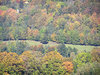 From a hill