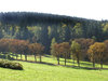 Hills
