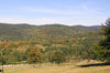 Hills