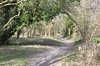 Country path