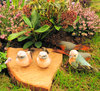 birds and plants still life