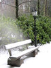 park bench idyll