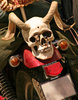 skull
