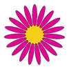 geometric flower 6