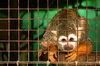 prisoner 1