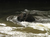 flowing water