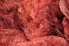 Fishing nets 17