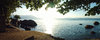 > Floripa Rib Ilha