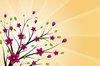 Spring Branch 1