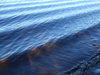River ripples