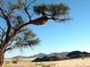 namib desert 3